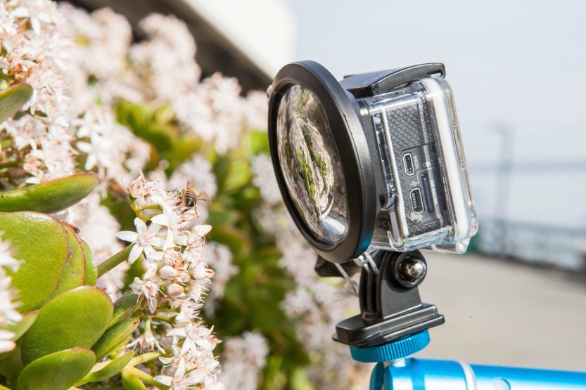 Makro do GoPro, którym można fotografować mrówki 5