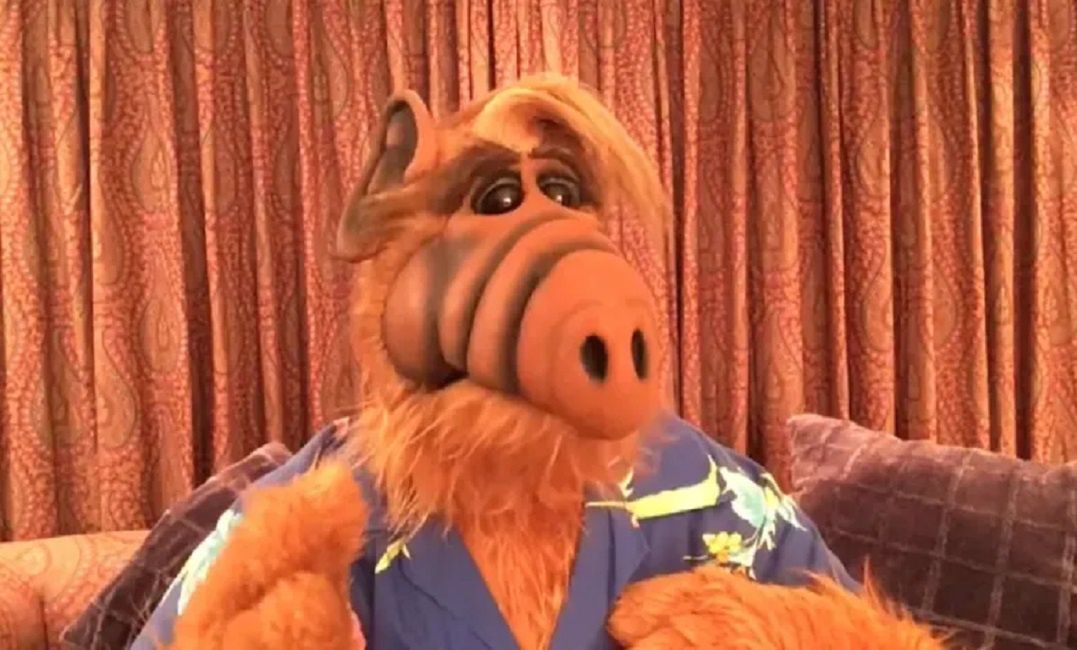 "Alf": uwielbiany serial pogrążył obsadę. Jak potoczyły się losy gwiazd serialu?