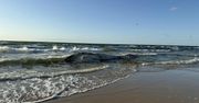 Martwy wieloryb na plaży w Wisełce. Sanepid bada wodę