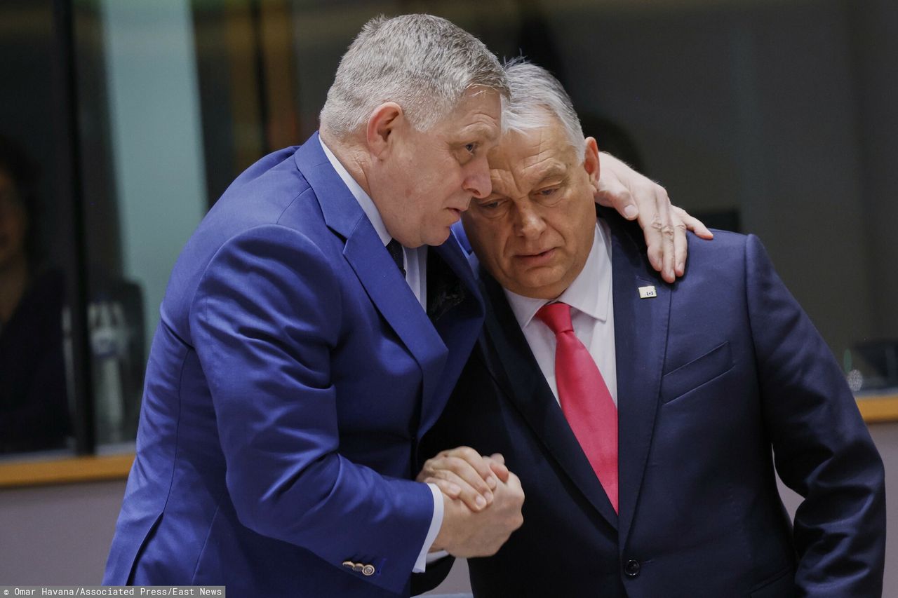 UE odcina się od Rosji. Osiem krajów ma problem