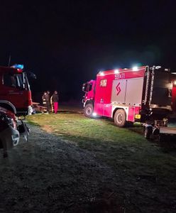 Akcja strażaków. 14-latkowie utknęli na bagnach