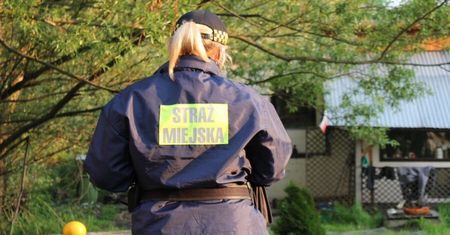 Kraków. Oblizał długopis i wbił go strażniczce miejskiej