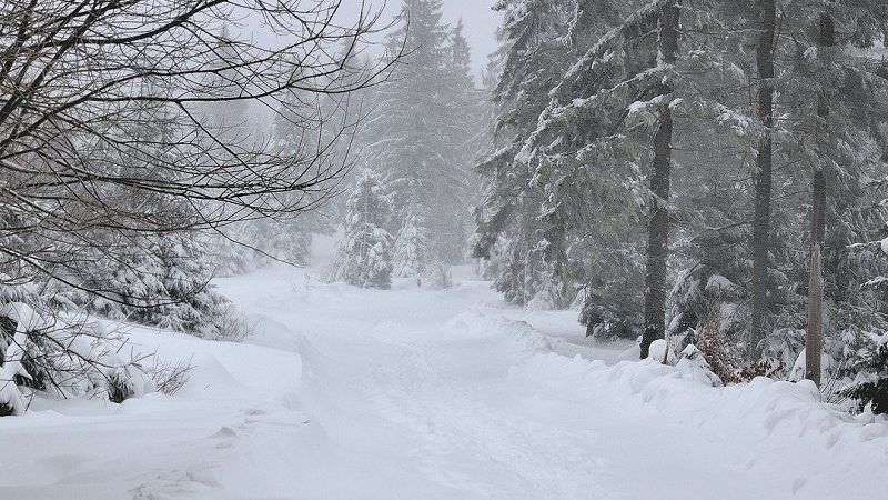 śnieg śnieżyca zaspa śnieżna