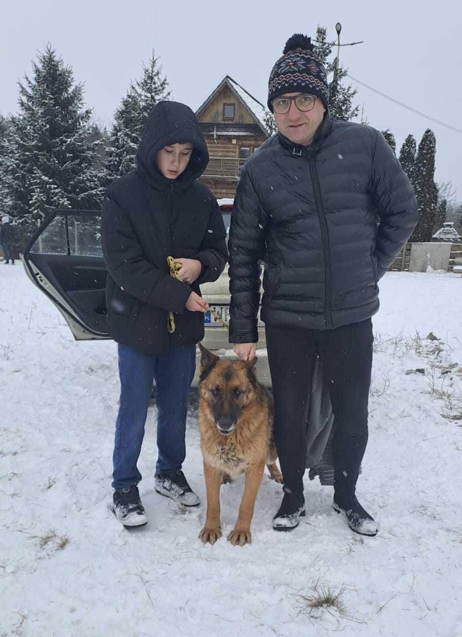 Akcja ratunkowa zwierzaków ze schroniska Kocham Psisko!