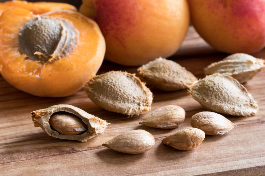 Zatrucie pestkami moreli. "Naturalny lek na raka" jest bardzo niebezpieczny