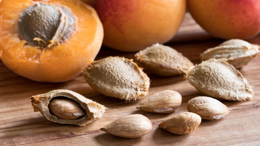 Pestki moreli zawierają amigdalinę