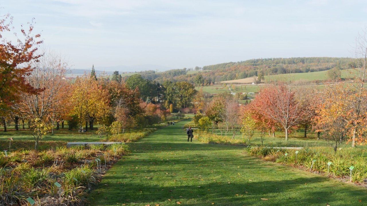 Zakończenie sezonu w Arboretum Wojsławice