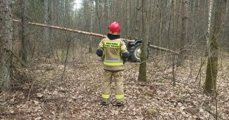 Mężczyźni wybrali się do lasu. Jednego z nich spotkał koszmar