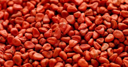 W Peru to skarb narodowy. Trzyma w ryzach cholesterol i cukier