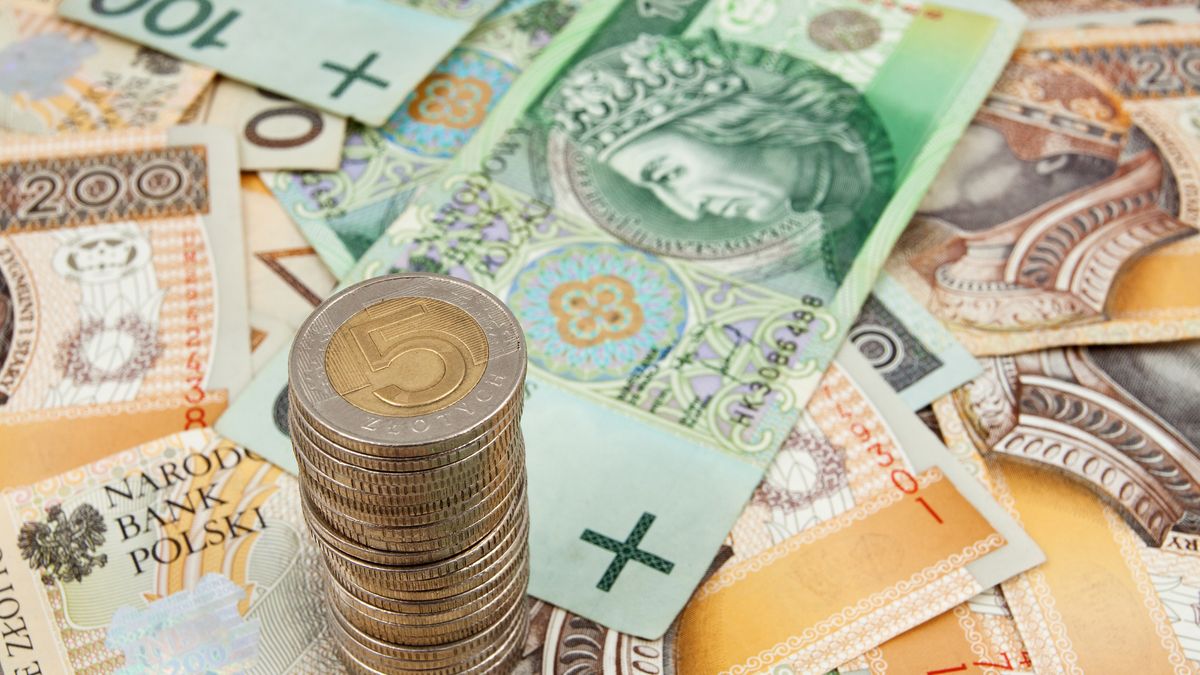 banknoty, biznes, bogactwo, gotówka, handel, kasa, kupno, kupowanie, polskie, portfel, sprzedawanie, sprzedaż, waluta