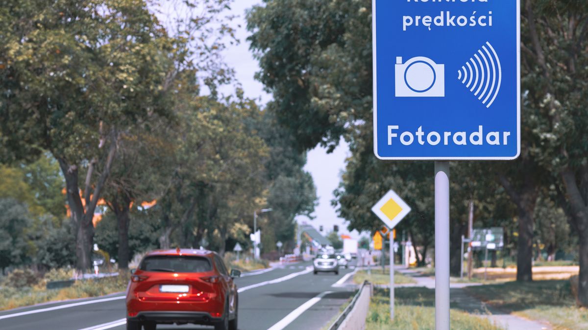 poland, roadsign, speed camera, photo radar, polish, ahead, attention, careful, caution, city, control, drive, enforcement, europe, fine, highway, information, law, limit, limitation, penalty, photo, photography, police, prevention, protection, radar, restriction, road, safety, security, sign, signal, slow, speed, speeding, street, surveillance, symbol, technology, text, traffic, traffic sign, transport, transportation, travel, urban, vehicle, warning
