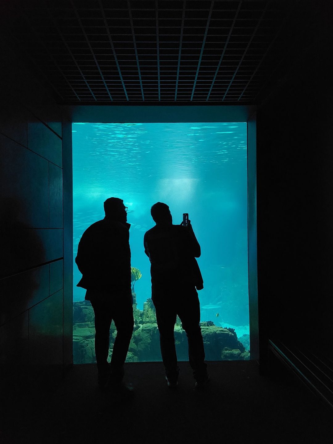 Oceanarium w Lizbonie