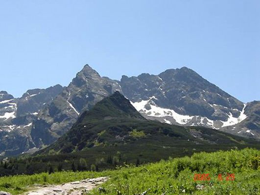 Obraz