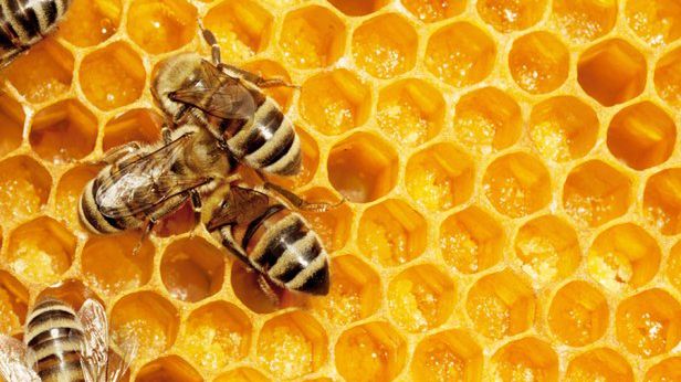 Zrób to sam - plaster miodu na lampę systemową [wideoporadnik] 1