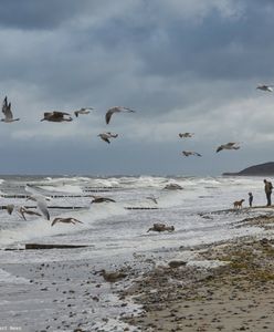 Fatalna pogoda na Bałtyku. Prom do Polski odwołany