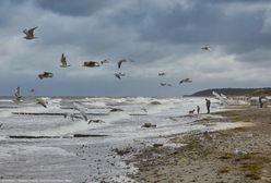 Fatalna pogoda na Bałtyku. Prom do Polski odwołany