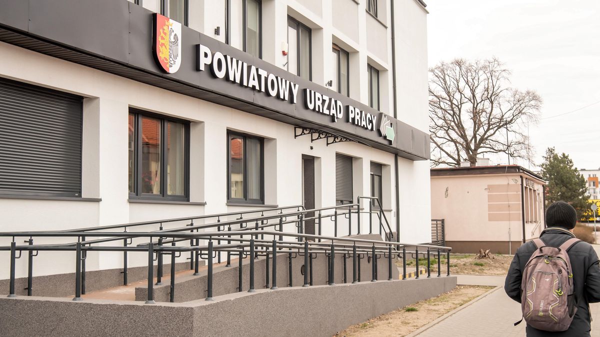 Zasiłek dla bezrobotnych. Jaka kwota świadczenia w 2025 roku?