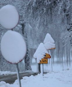 Atak zimy w Polsce. Najgorsze dopiero się zbliża