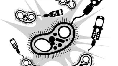 Kolejny wirus na Symbiana 1