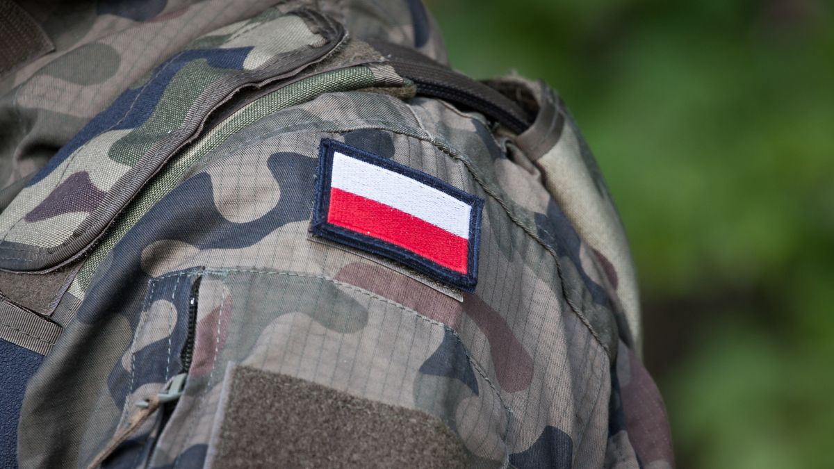 wojsko, wojna, mundur, flaga, polska, ubiór, poligon