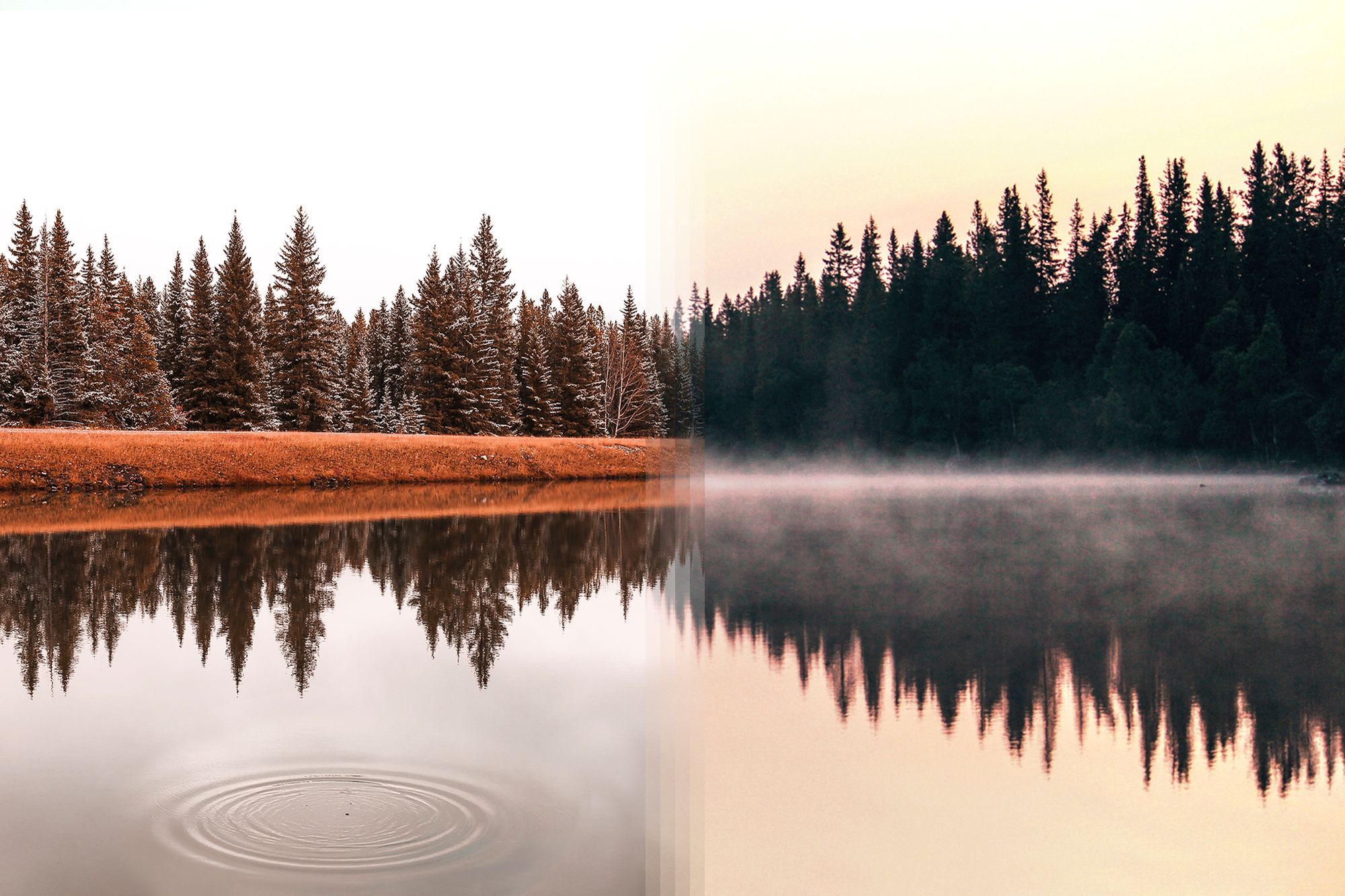 Chanel Cartell i Stevo Dirnberger - para podróżników, którzy robią "Photo Mashups" 3