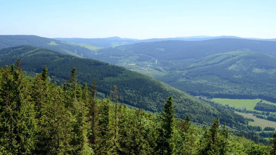 góry, góry opawskie, las, zielony, drzewo, horyzont, niebo, widok, krajobraz, czechy, panorama, pejzaż, lato, turystyka, natura, odpoczynek