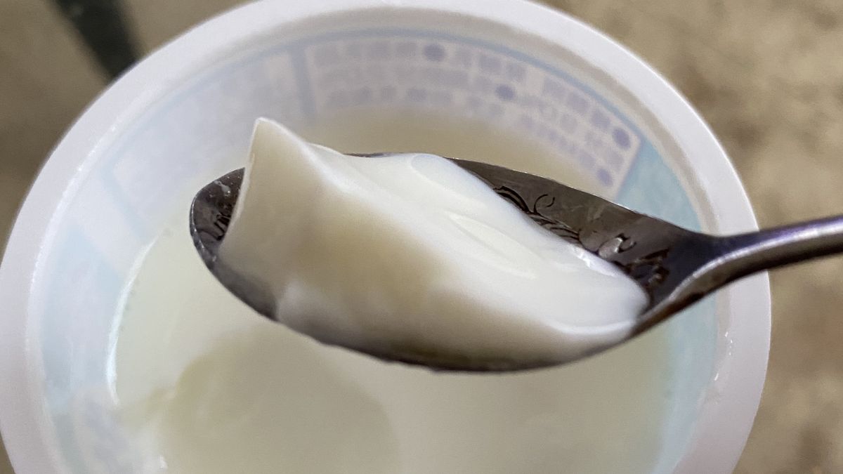 Yogurt
Yogurt
gram