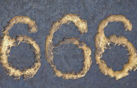 Heksakosjoiheksekontaheksafobia i inne fobie liczbowe