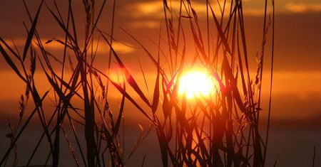 W środę rano początek astronomicznego lata