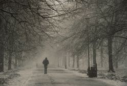 W nowym roku Polacy życzą sobie nowej pracy