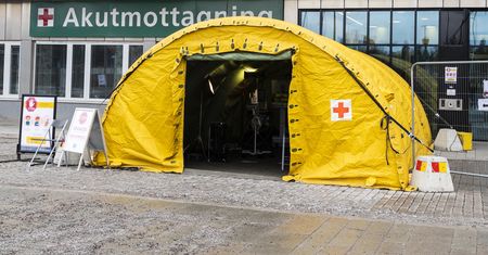 Szwecja przyznaje: dopuściliśmy do zbyt wielu zgonów na koronawirusa
