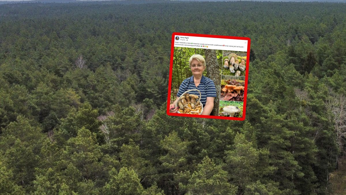 Pokazała efekt grzybobrania w Bobrownikach.