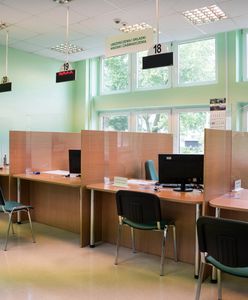 ZUS. Chcemy pracować, nawet po przejściu na emeryturę