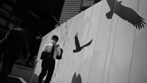 Wielki Konkurs Fotograficzny National Geographic zakończony - zobacz zdjęcia 1