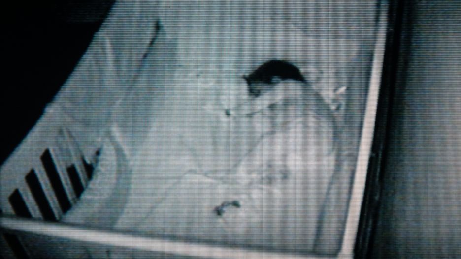 Mama zauważyła pierwsze objawy cukrzycy. "Jej pieluszka była ciągle mokra"