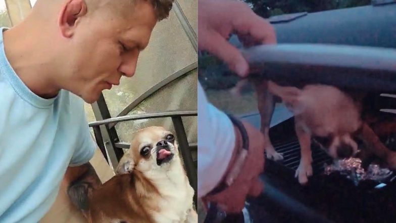 Alan Kwieciński wybiela wizerunek po aferze z "grillowaniem" psa