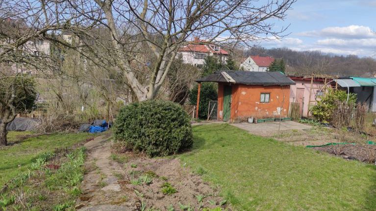 ogródek działkowy