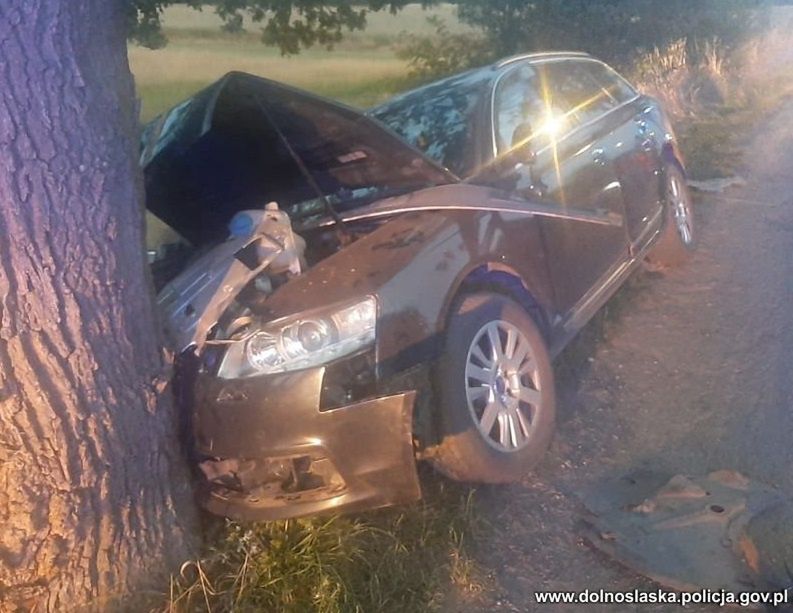 Audi rozbiło się na drzewie. Policjanci szybko odkryli, kto prowadził