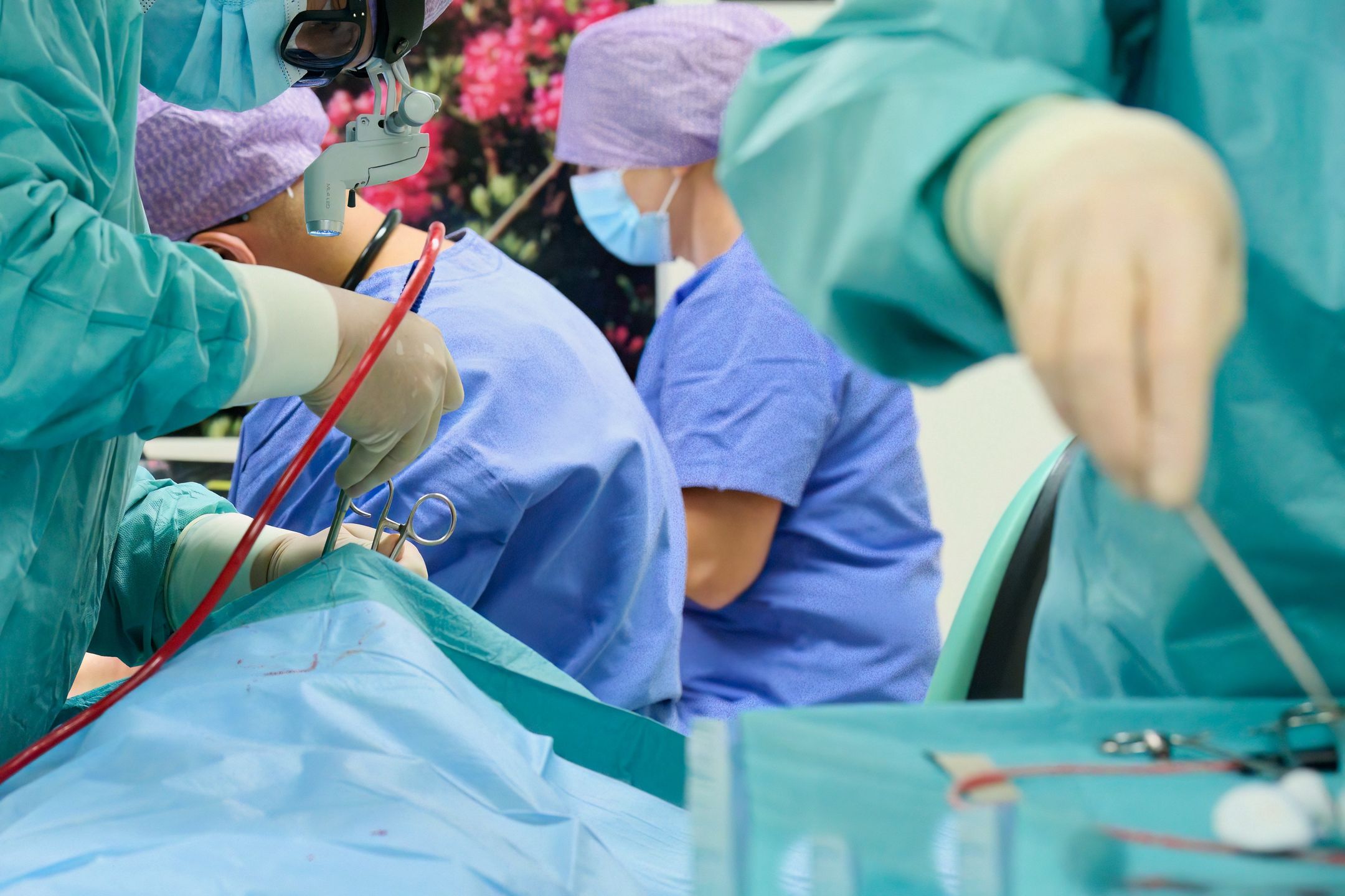 TOMASZ KUZMINSKI
lekarze, szpital, sala operacyjna, blok operacyjny, chirurg, anestezjolog, okulista, ginekolog, ortopeda, urolog, laryngolog, pacjent, zabieg, oiperacja, korekcja, znieczulenie, instrumentariuszka, doctors, hospital, operating room, operating theater, surgeon, anesthesiologist, ophthalmologist, gynecologist, orthopedist, urologist, laryngologist, patient, procedure, surgery, correction, anesthesia, operating team, nurse, instrument assistant