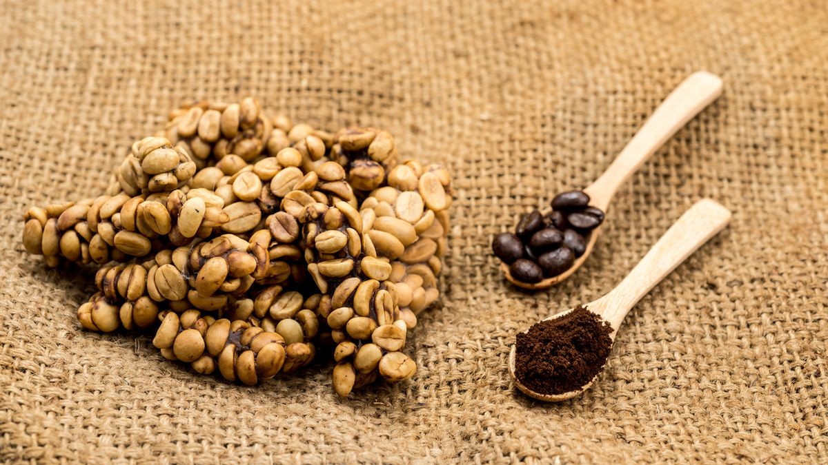 Kopi luwak to rodzaj kawy pochodzący z południowo-wschodniej Azji