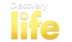 W niedzielę rusza Discovery Life. Stacja postawi na rozrywkę