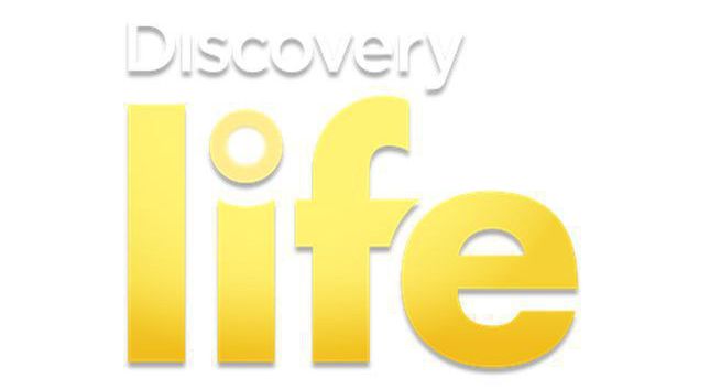 W niedzielę rusza Discovery Life. Stacja postawi na rozrywkę