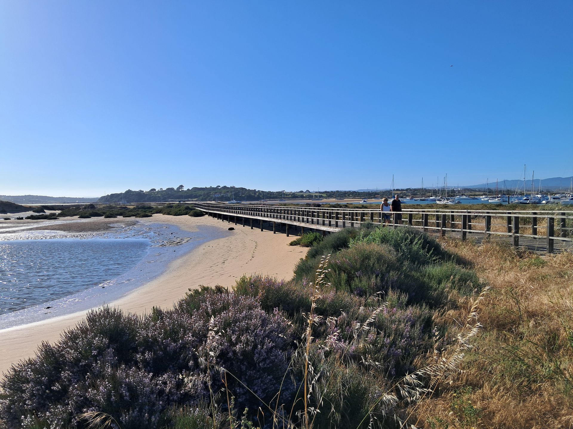 Szlak  Ria de Alvor prowadzi przez wydmy, równiny i słone bagna