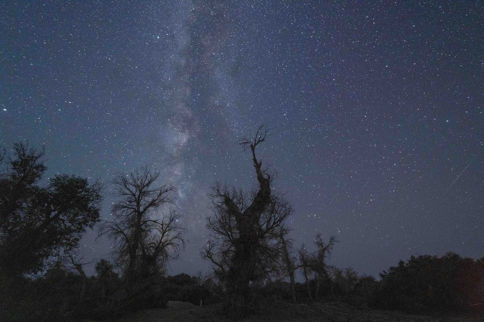 KORLA, CHINA - AUGUST 12, 2021 - The Perseid meteor shower is seen above populus euphratica in Korla, Northwest China's Xinjiang Uygur Autonomous Region, Aug. 12, 2021.&#xA; (Photo credit should read Costfoto/Barcroft Media via Getty Images)