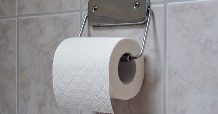 Najgorszy papier toaletowy. Proktolog stanowczo odradza