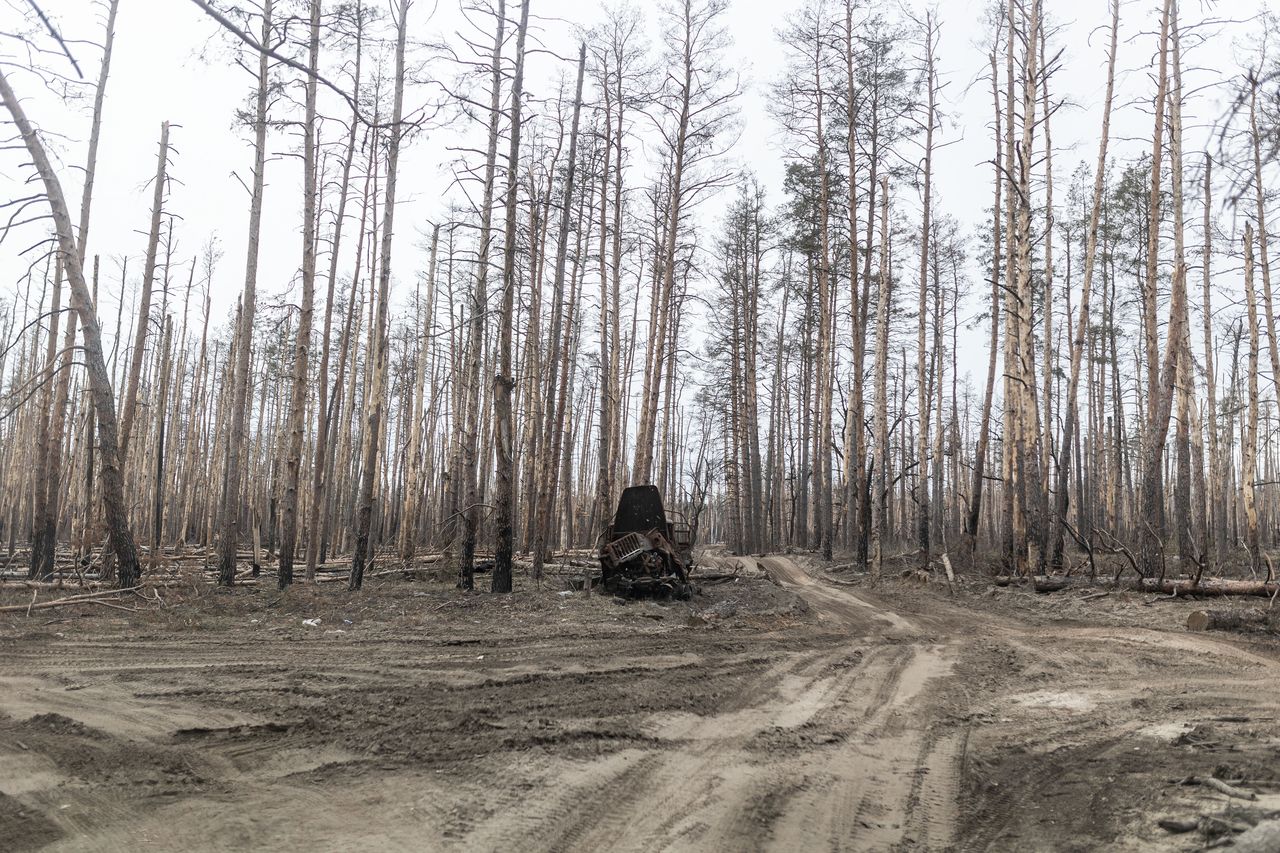 DONETSK OBLAST, UKRAINE - MARCH 3: A wrecked car in a forest as Russia - Ukraine war continues in the direction of Kreminna, Donetsk Oblast, Ukraine on March 03, 2024. (Photo by Diego Herrera Carcedo/Anadolu via Getty Images)