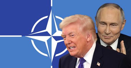 "Odebrać fundusze NATO". Polak pokazał, co dzieje się na CPAC