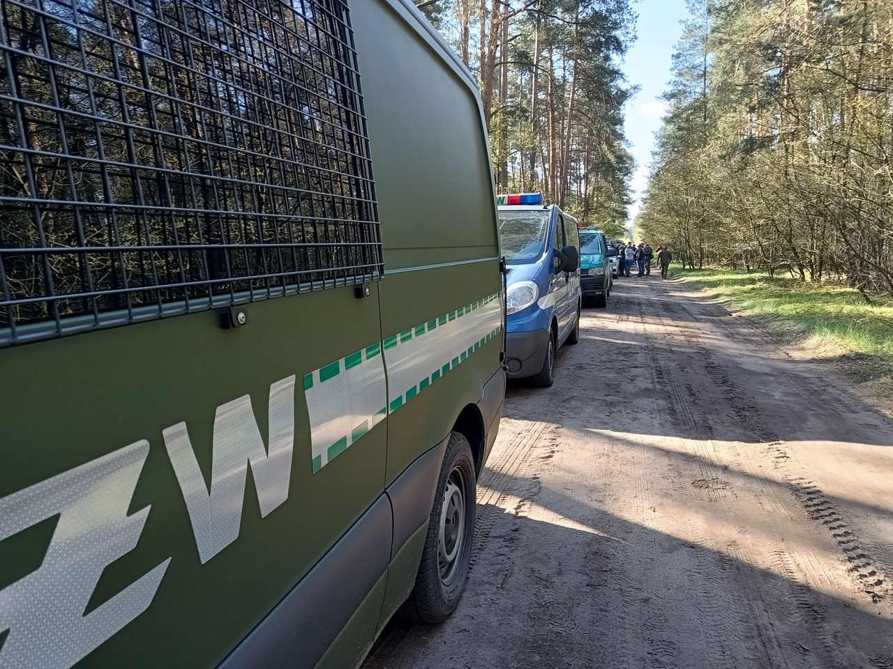 Służby w lesie we wsi Zamość obok Rynarzewa w województwie kujawsko-pomorskim