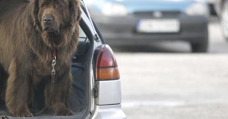 Alarm w Krakowie. Dziecko uprowadzone w bagażniku