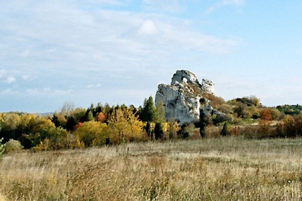 Obraz